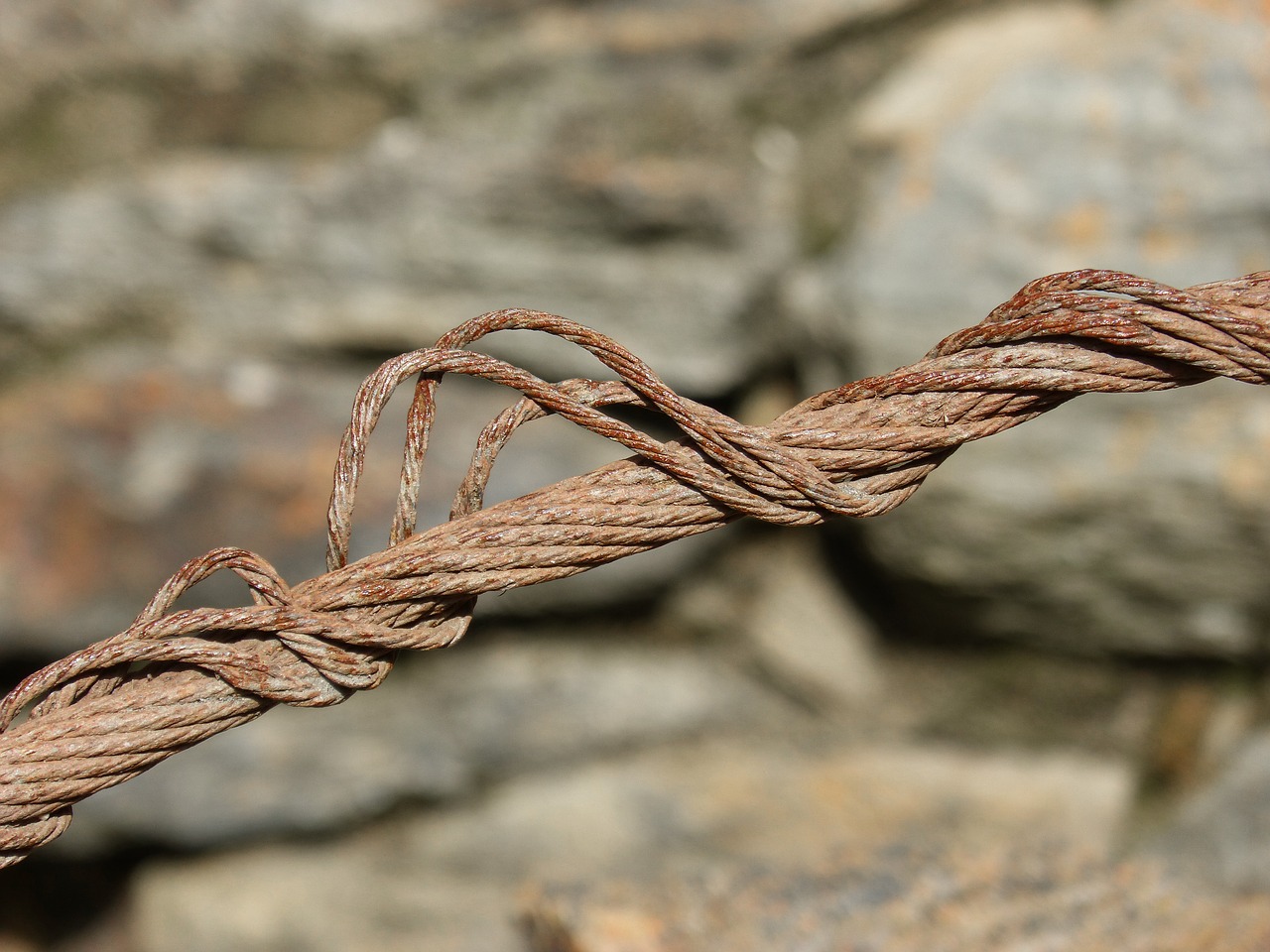 Image - steel cable broken frayed rusty