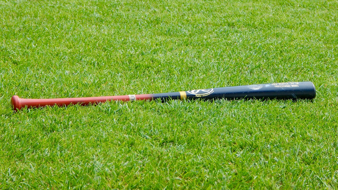 Image - baseball baseball bat sport prato