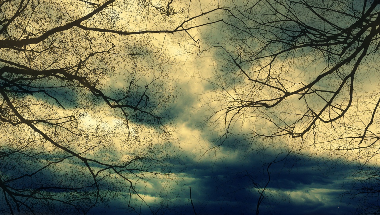 Image - trees clouds storm dark mystical