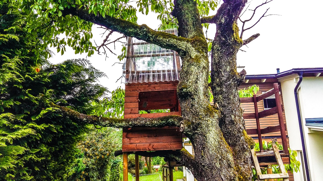 Image - tree treehouse nature tree hut