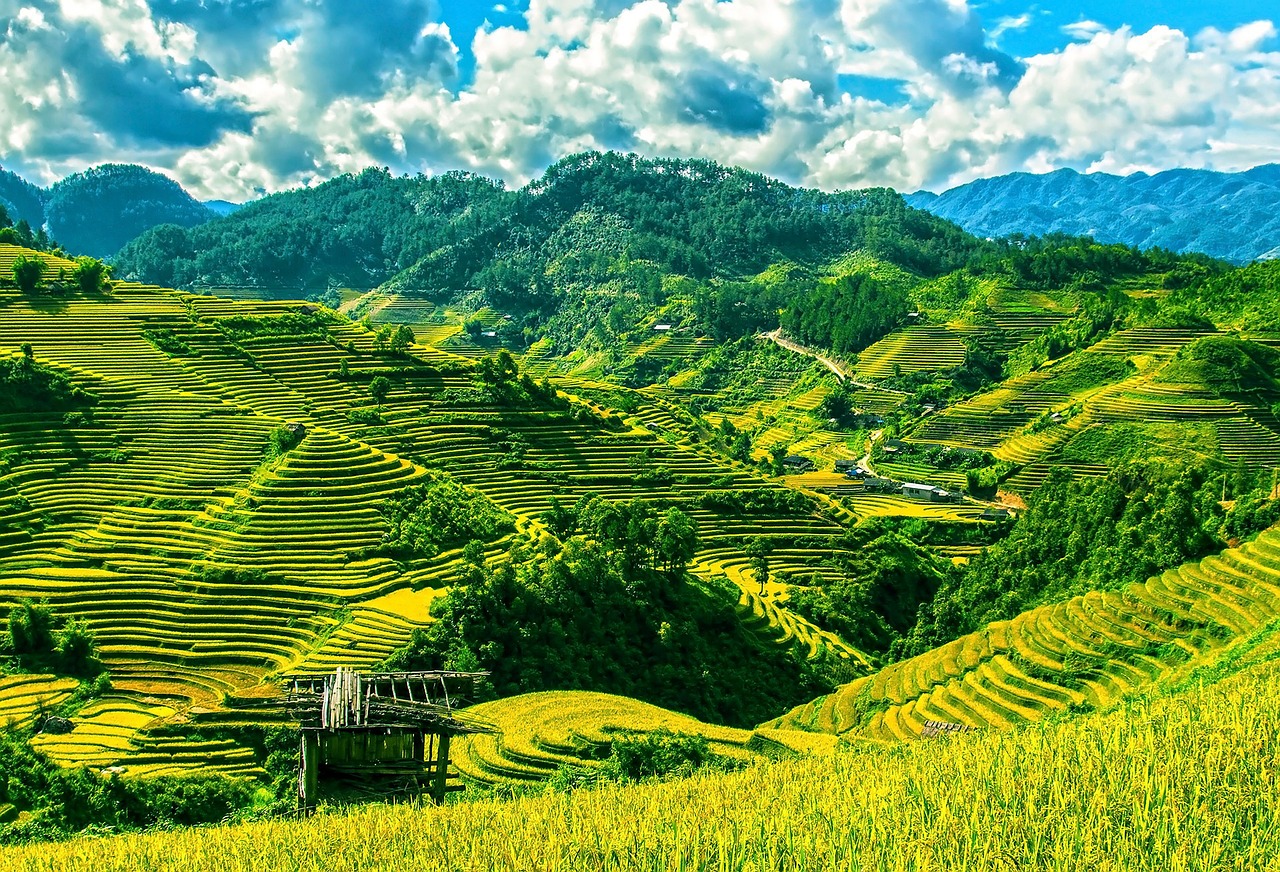 Image - rice terraces rice fields