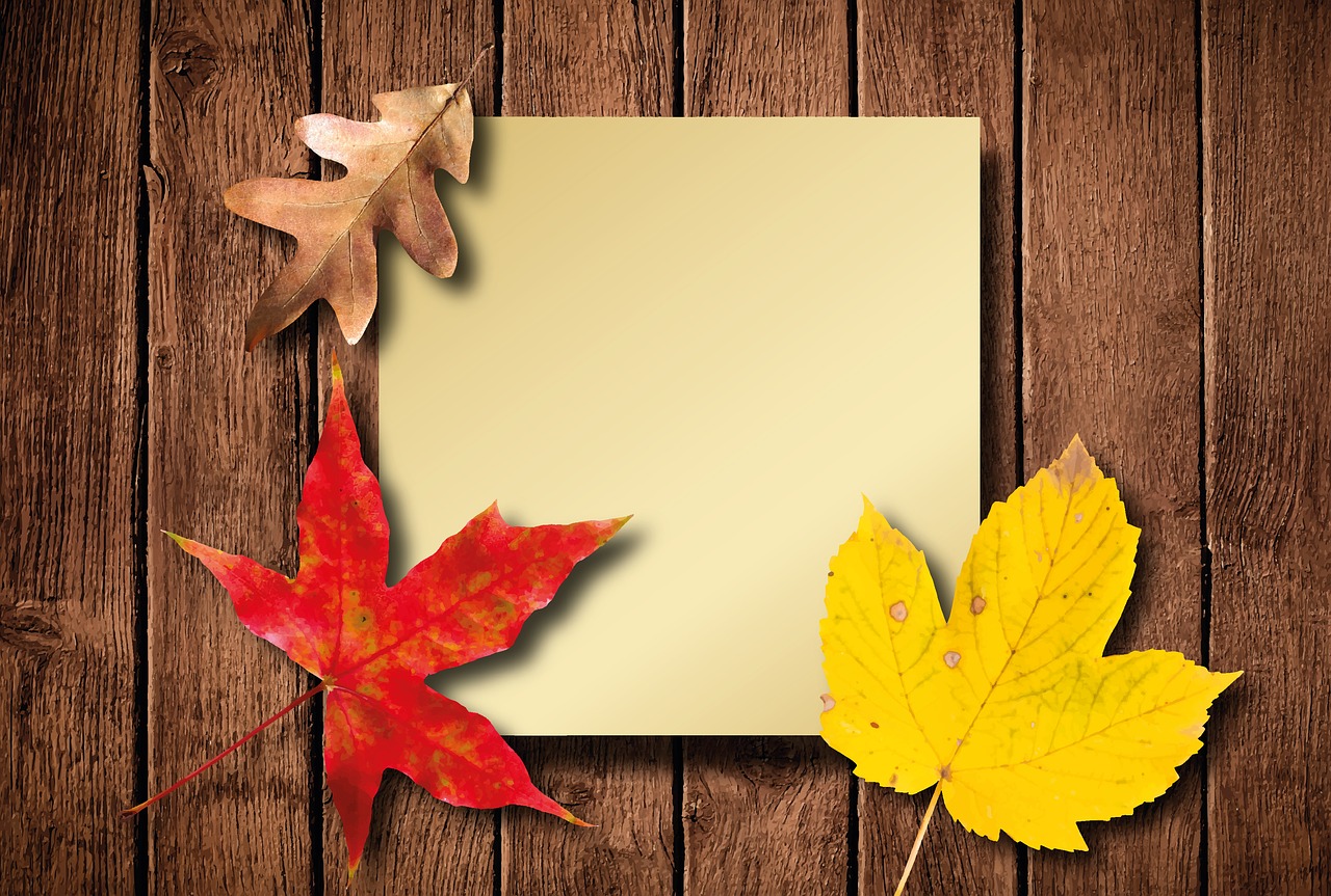 Image - autumn leaves colorful fall foliage
