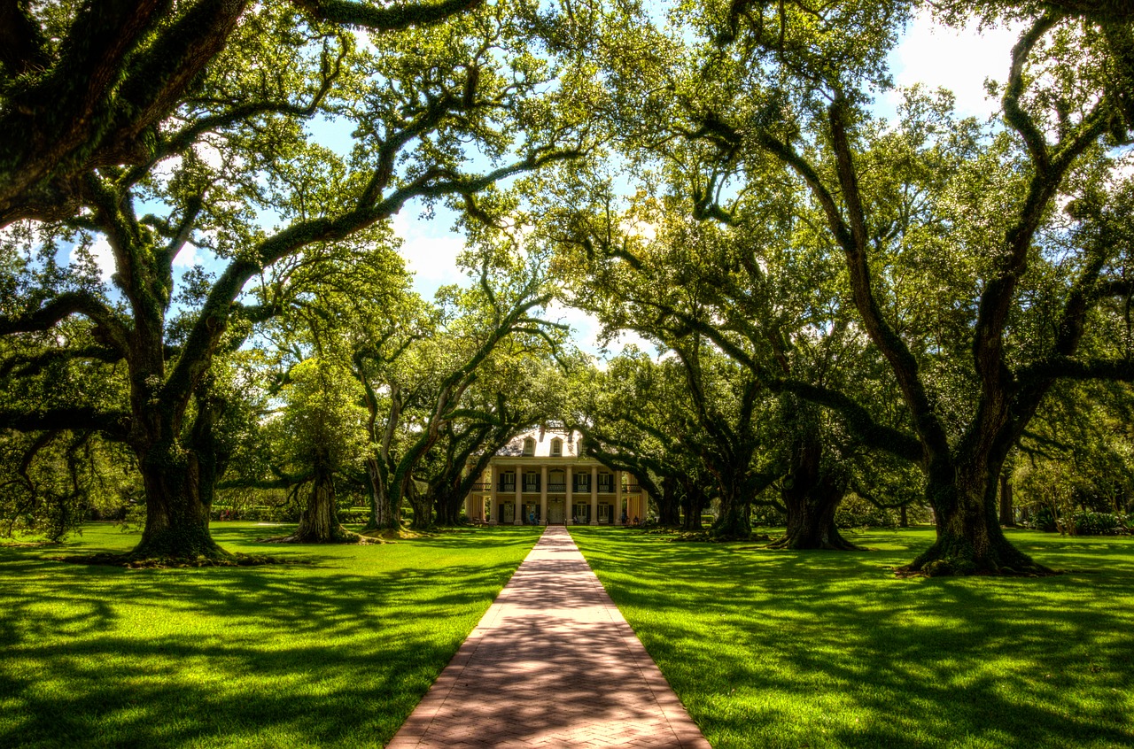 Image - oak alley plantation usa america