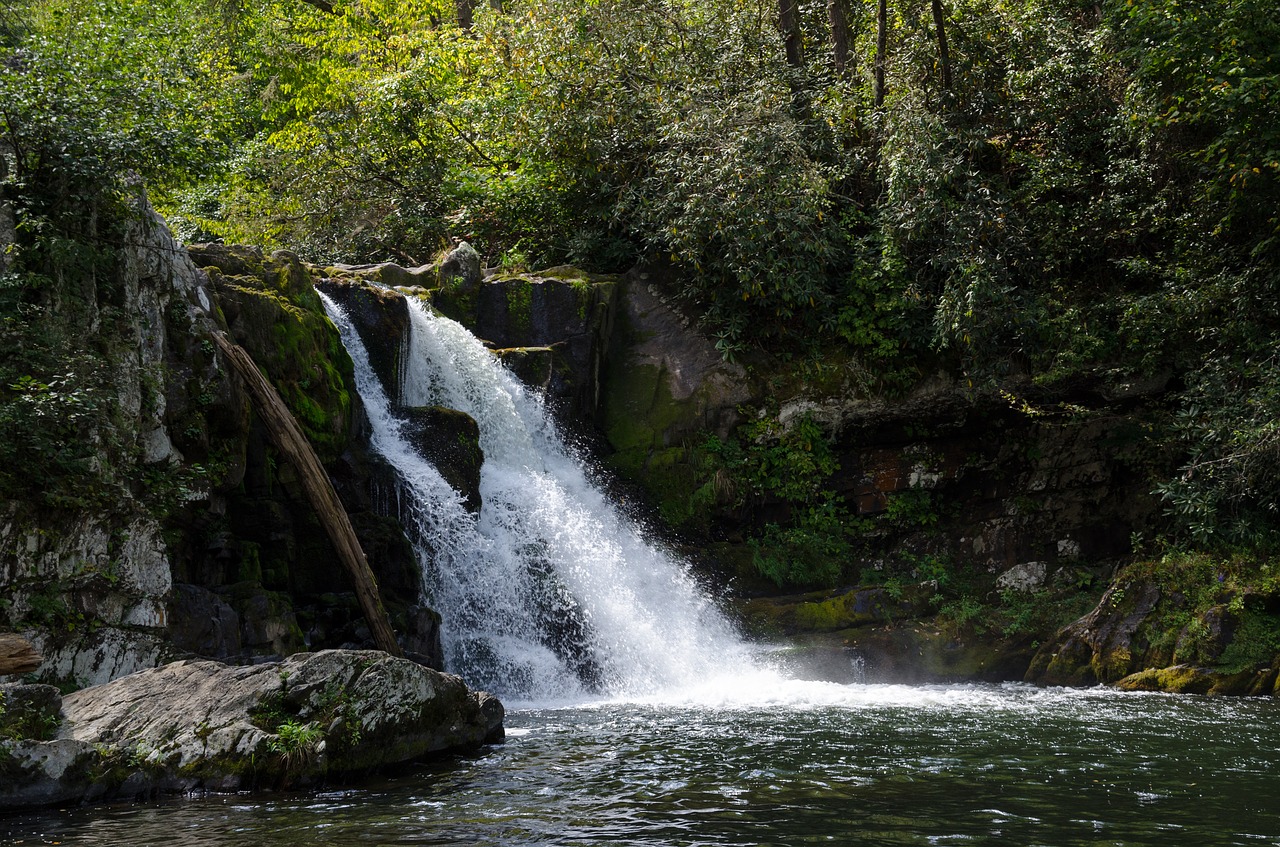 Image - usa america nature national park