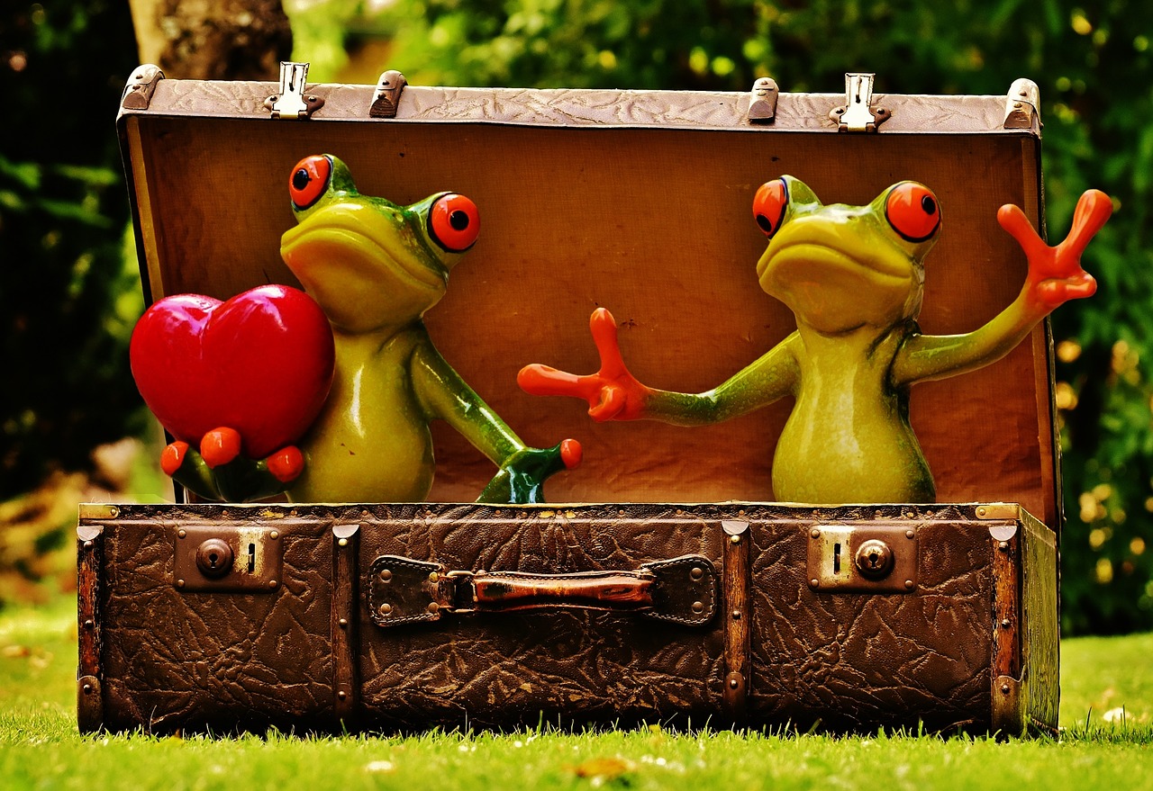 Image - frogs homesickness travel