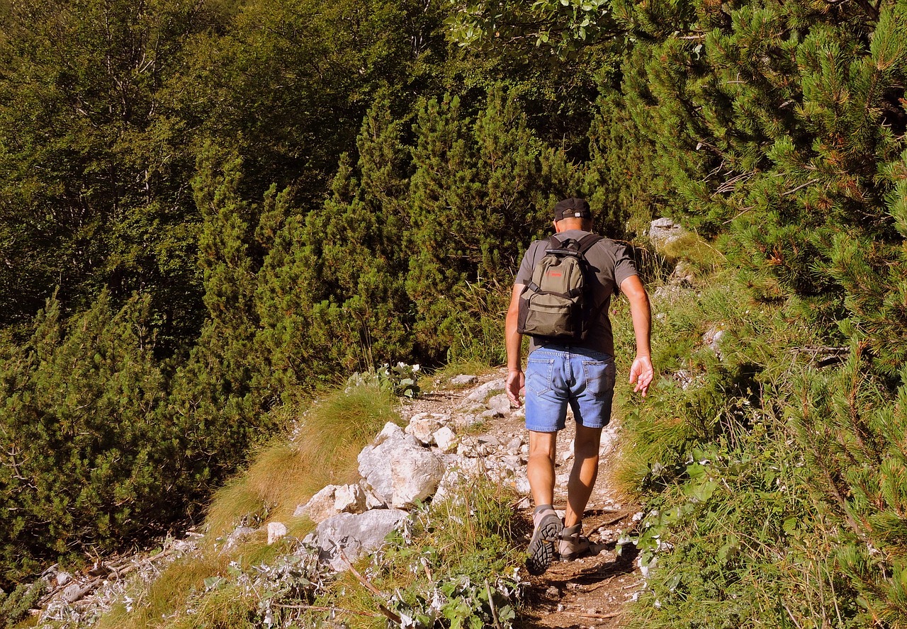 Image - walk hiking mountain trail man