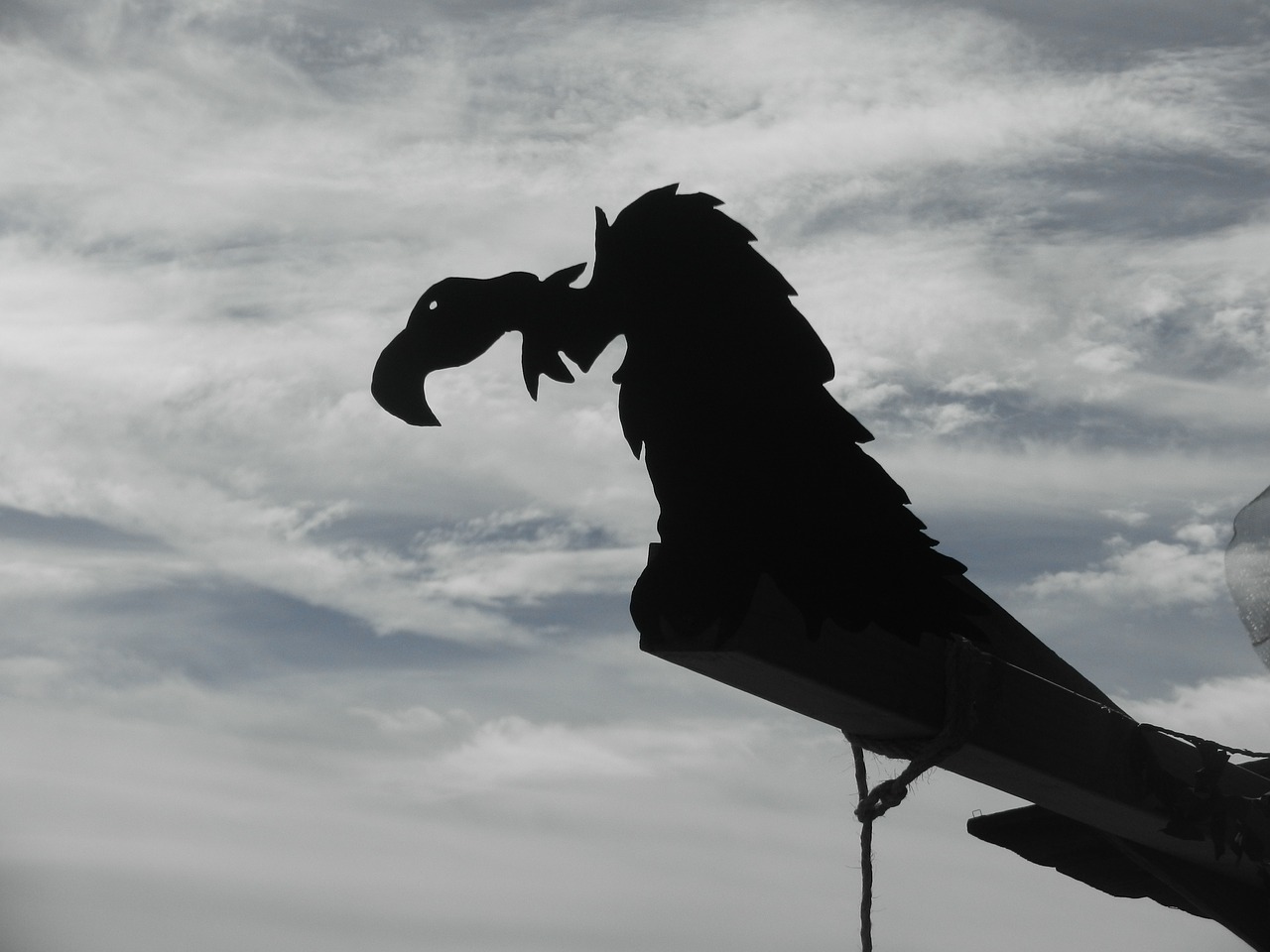 Image - vulture carving ghost town