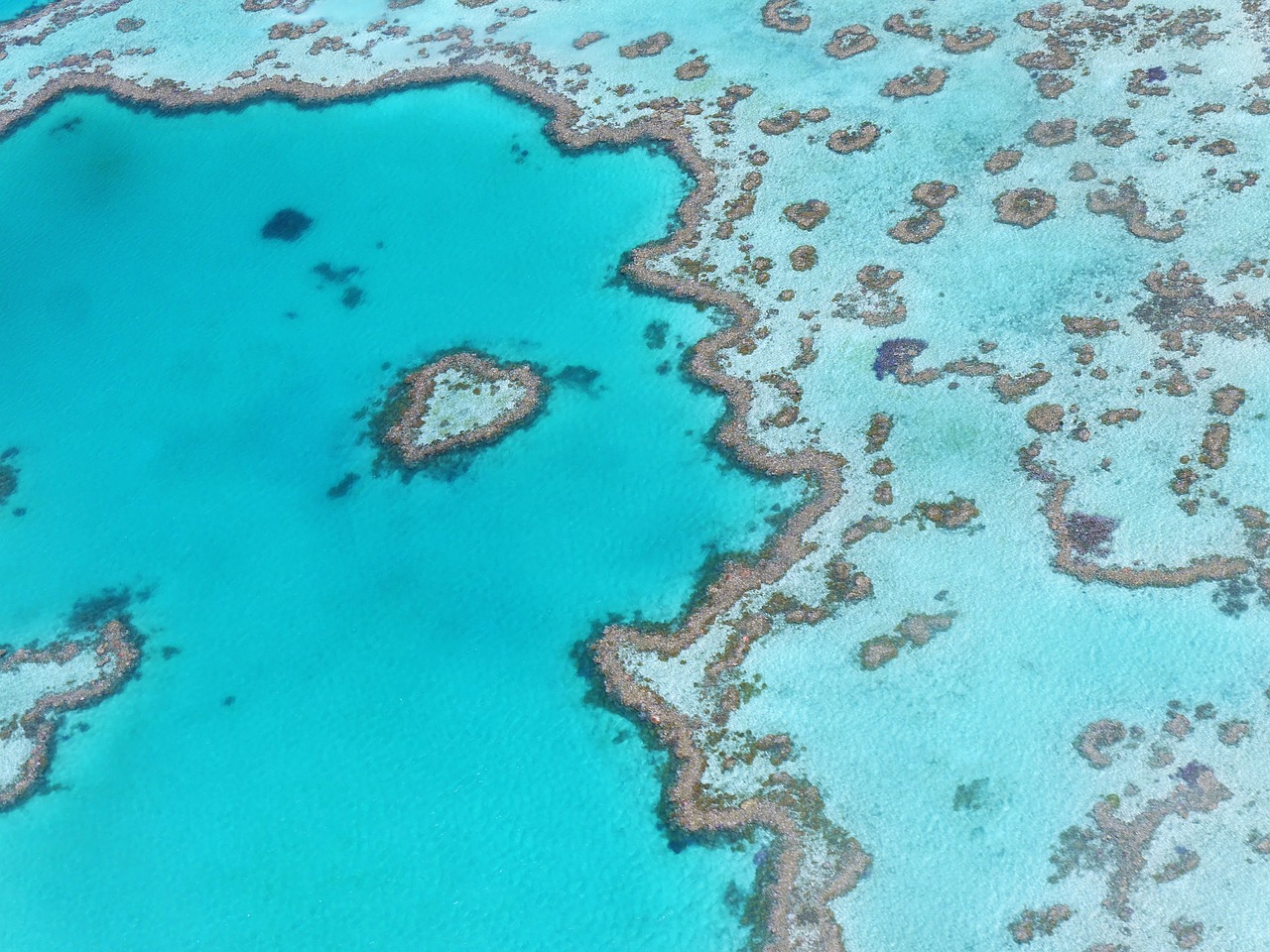 Image - heart reef australia