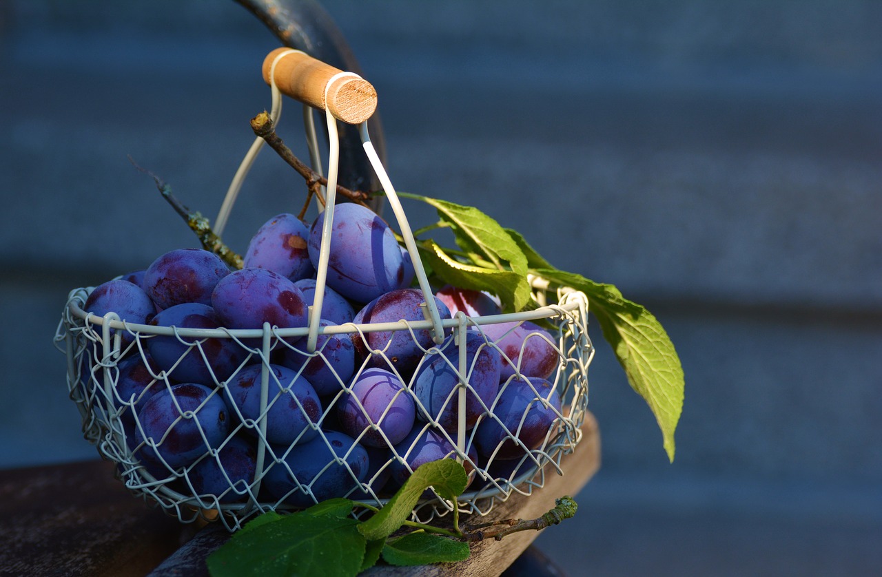 Image - plums fruit fruit basket blue