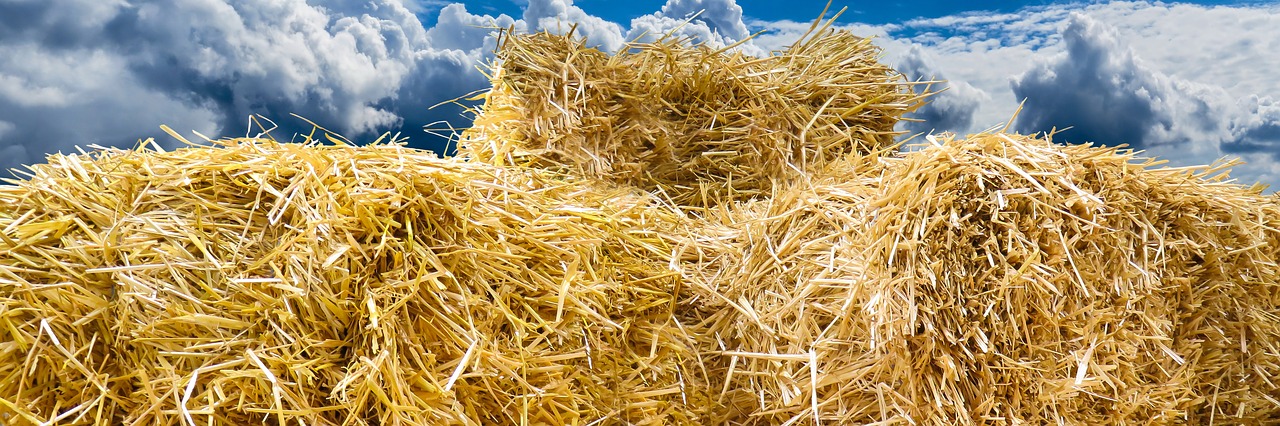 Image - straw bales autumn straw flyers