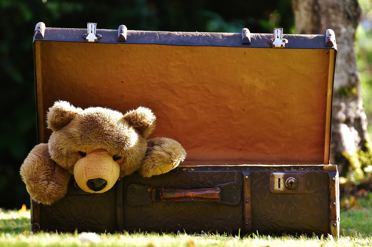 Image - luggage antique teddy soft toy