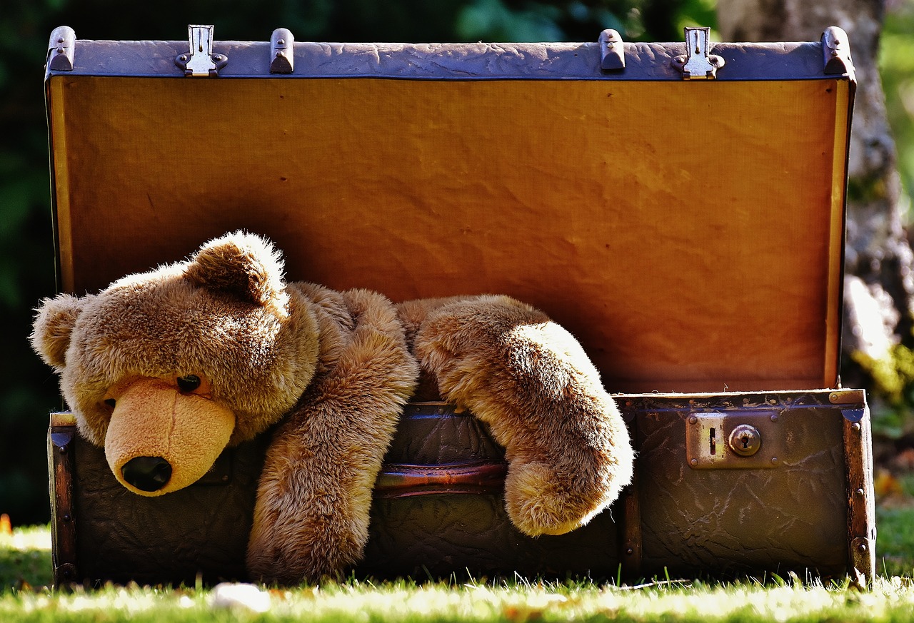 Image - luggage antique teddy soft toy