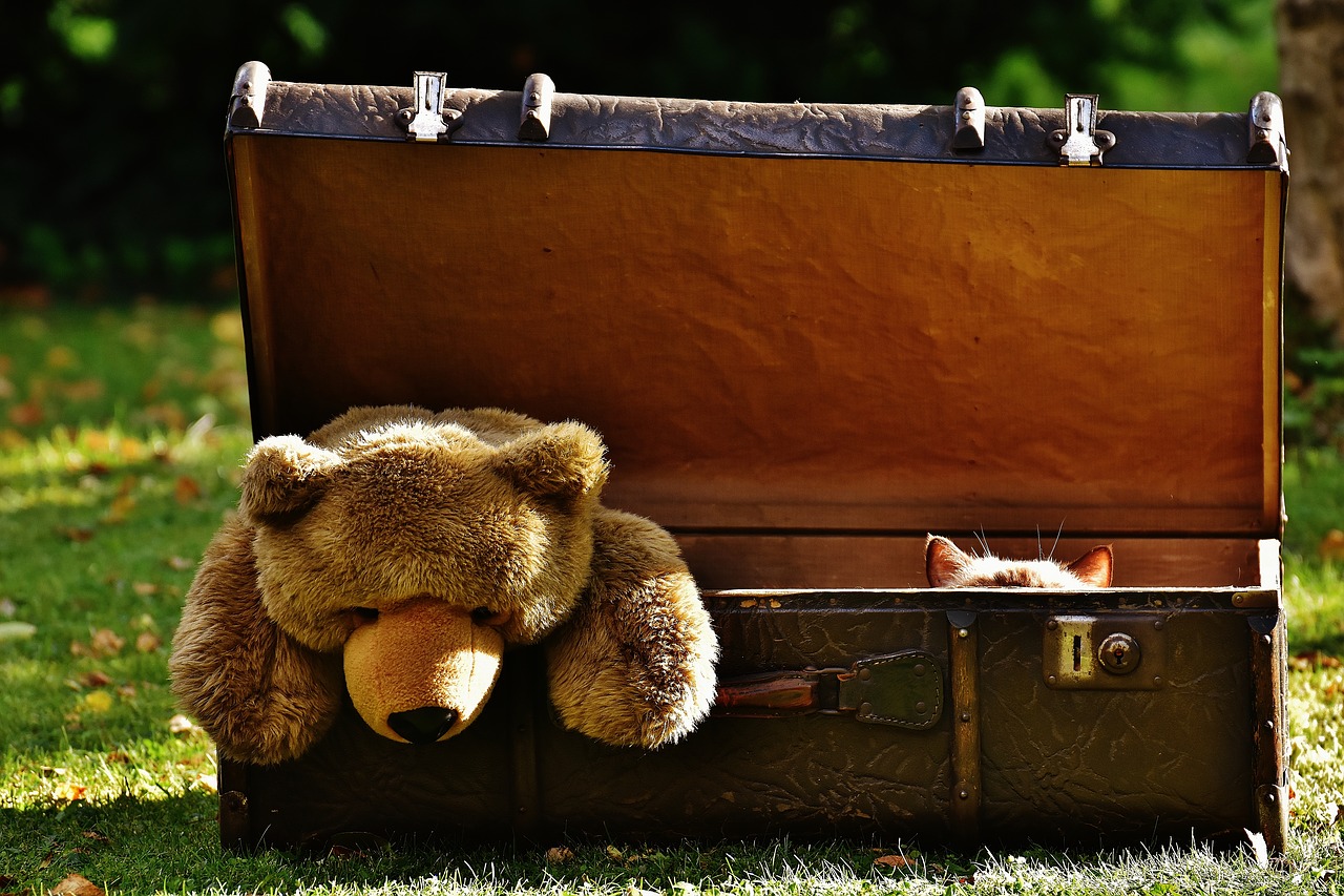 Image - luggage antique teddy cat hidden