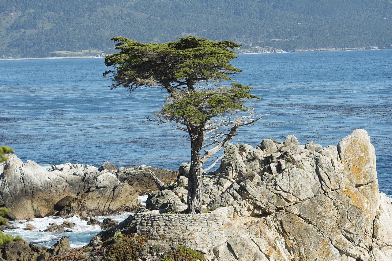 Image - pebble beach shoreline california