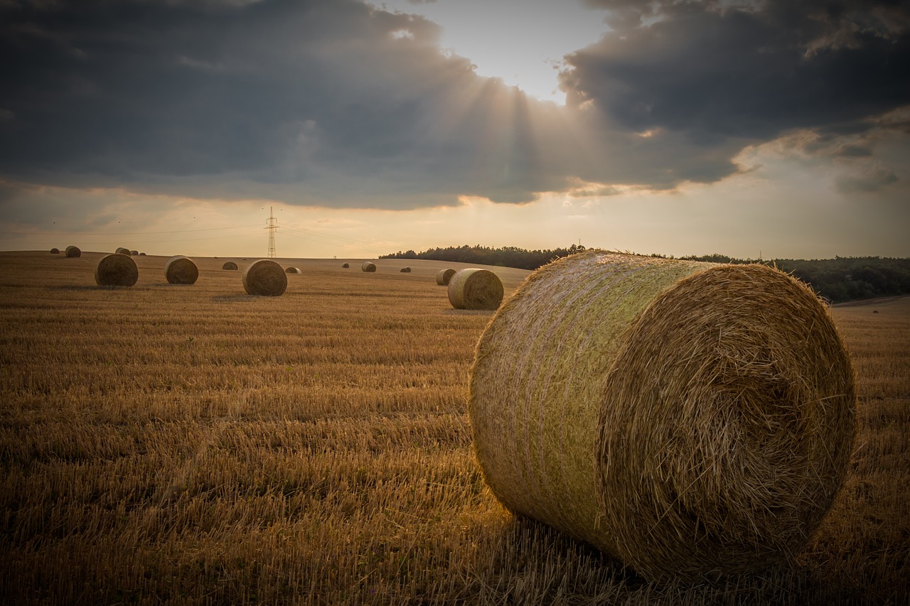 Image - straw bale agriculture cereals