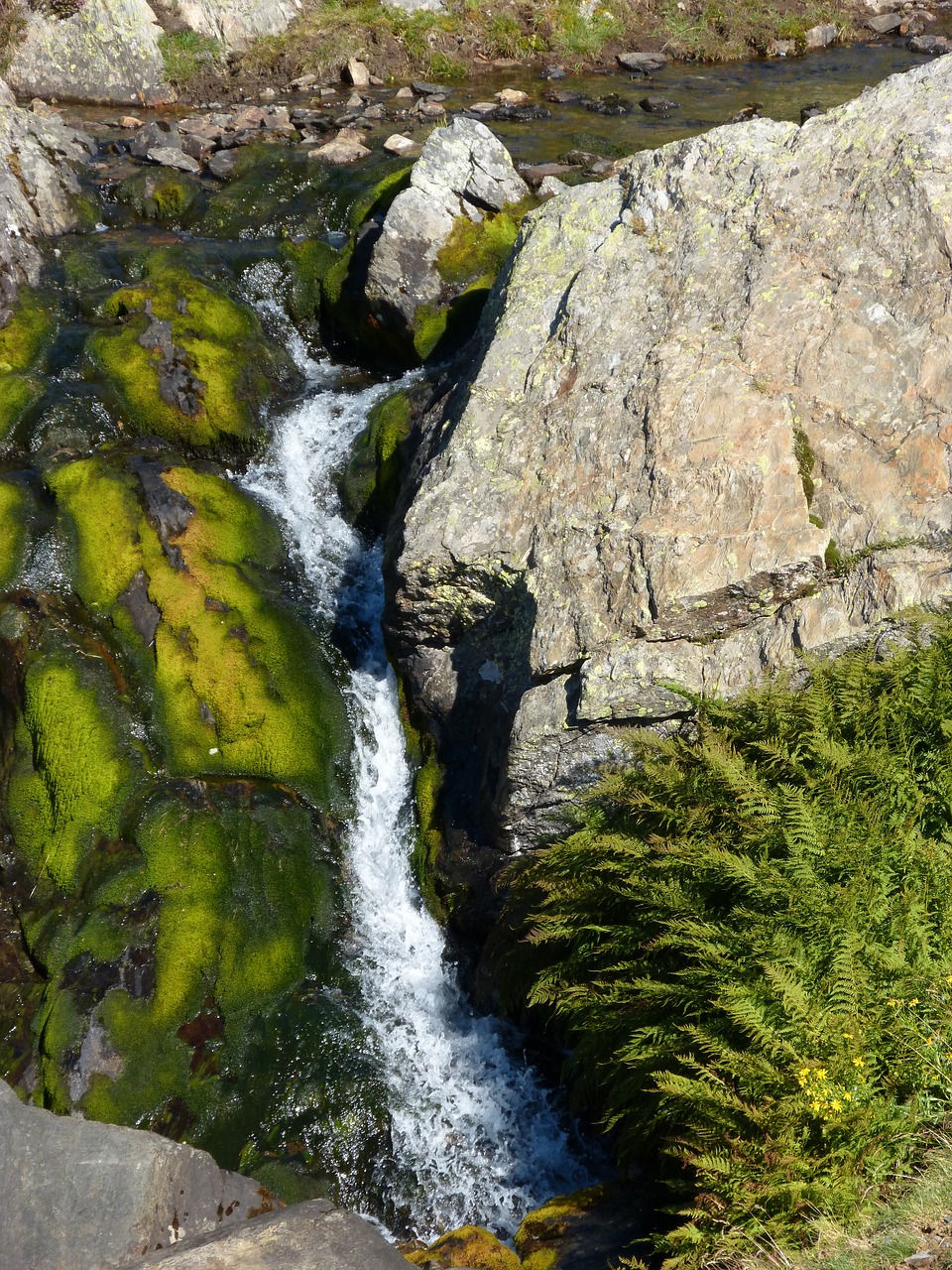 Image - waterfall cataract moss ferns