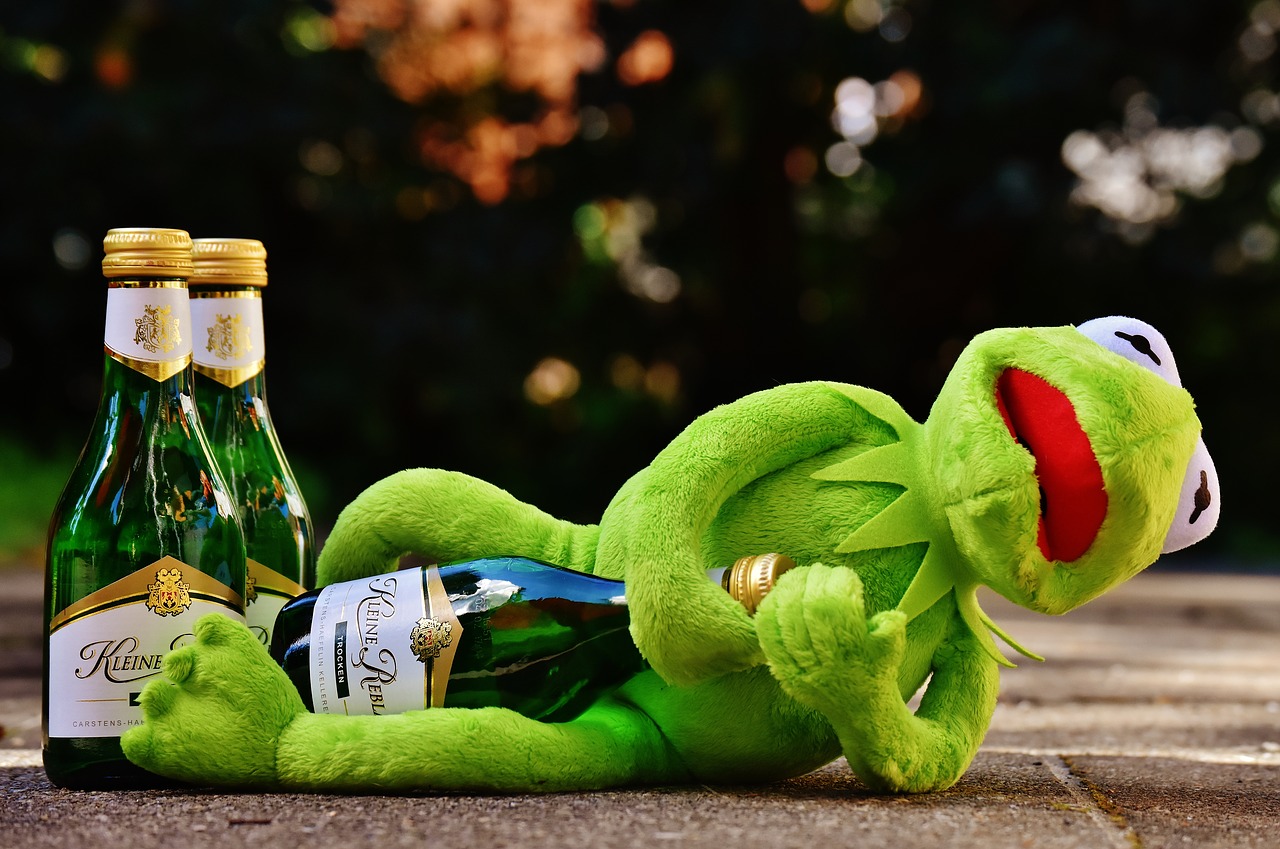 Image - kermit frog wine drink alcohol