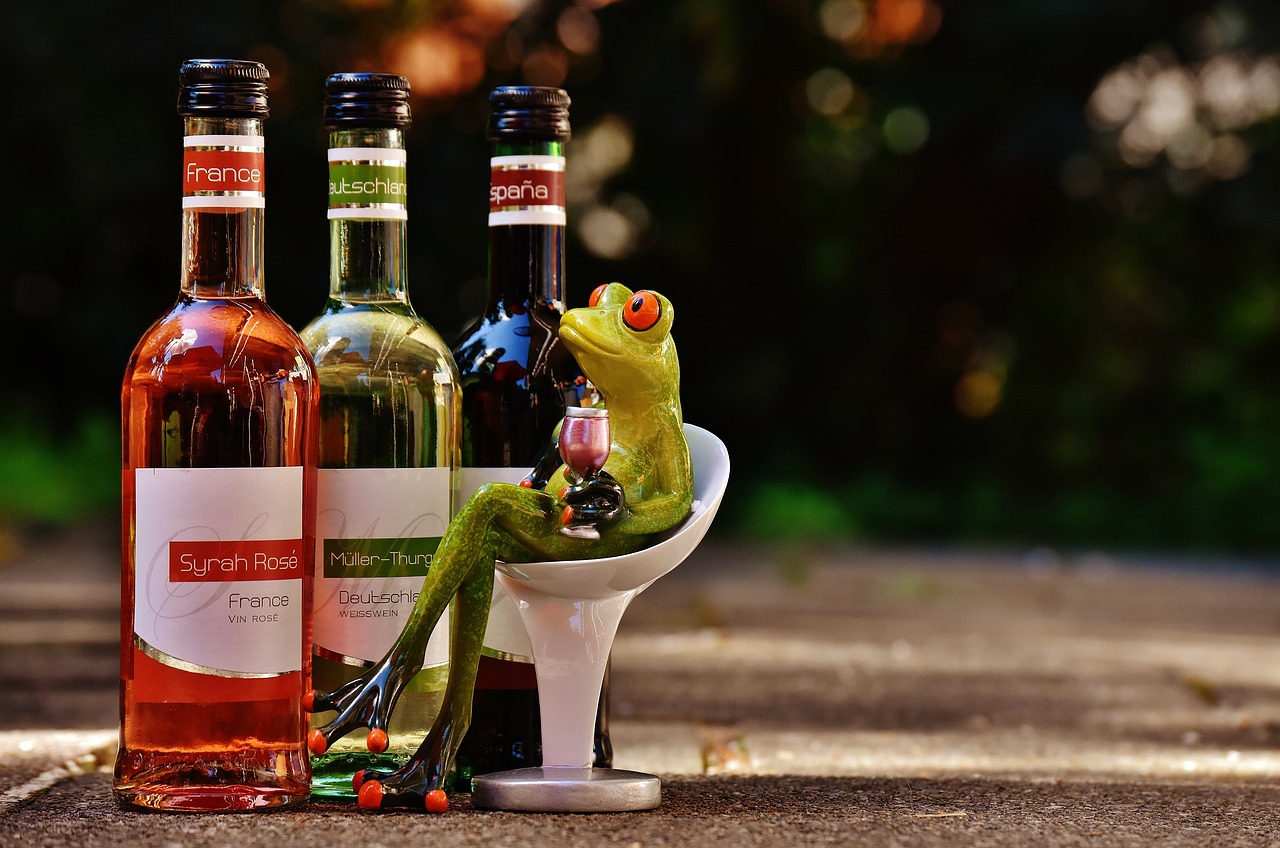 Image - frog wine drink restaurant