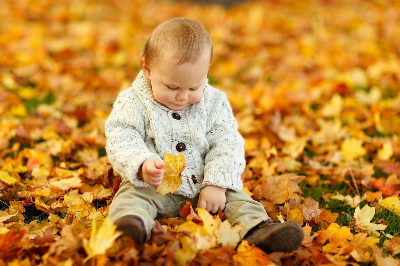 Image - autumn fall baby boy child cute