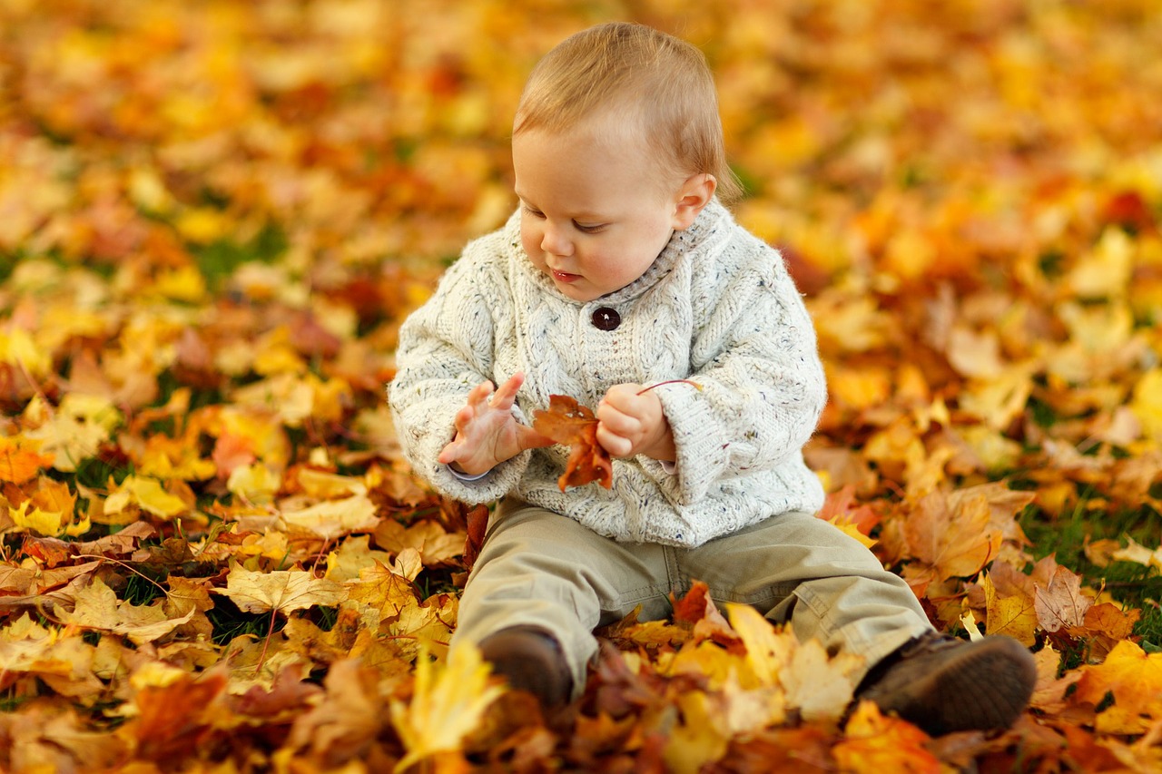 Image - autumn fall baby boy child cute