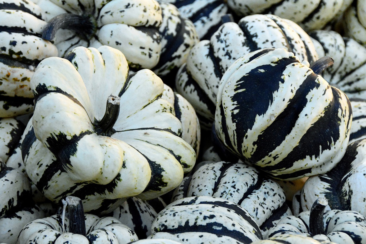 Image - pumpkin gourd autumn thanksgiving