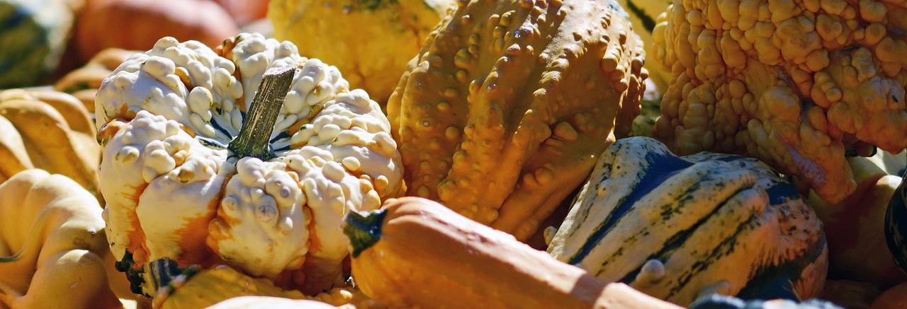 Image - pumpkin gourd autumn thanksgiving