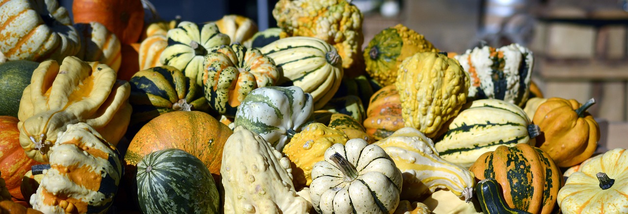 Image - pumpkin gourd autumn thanksgiving