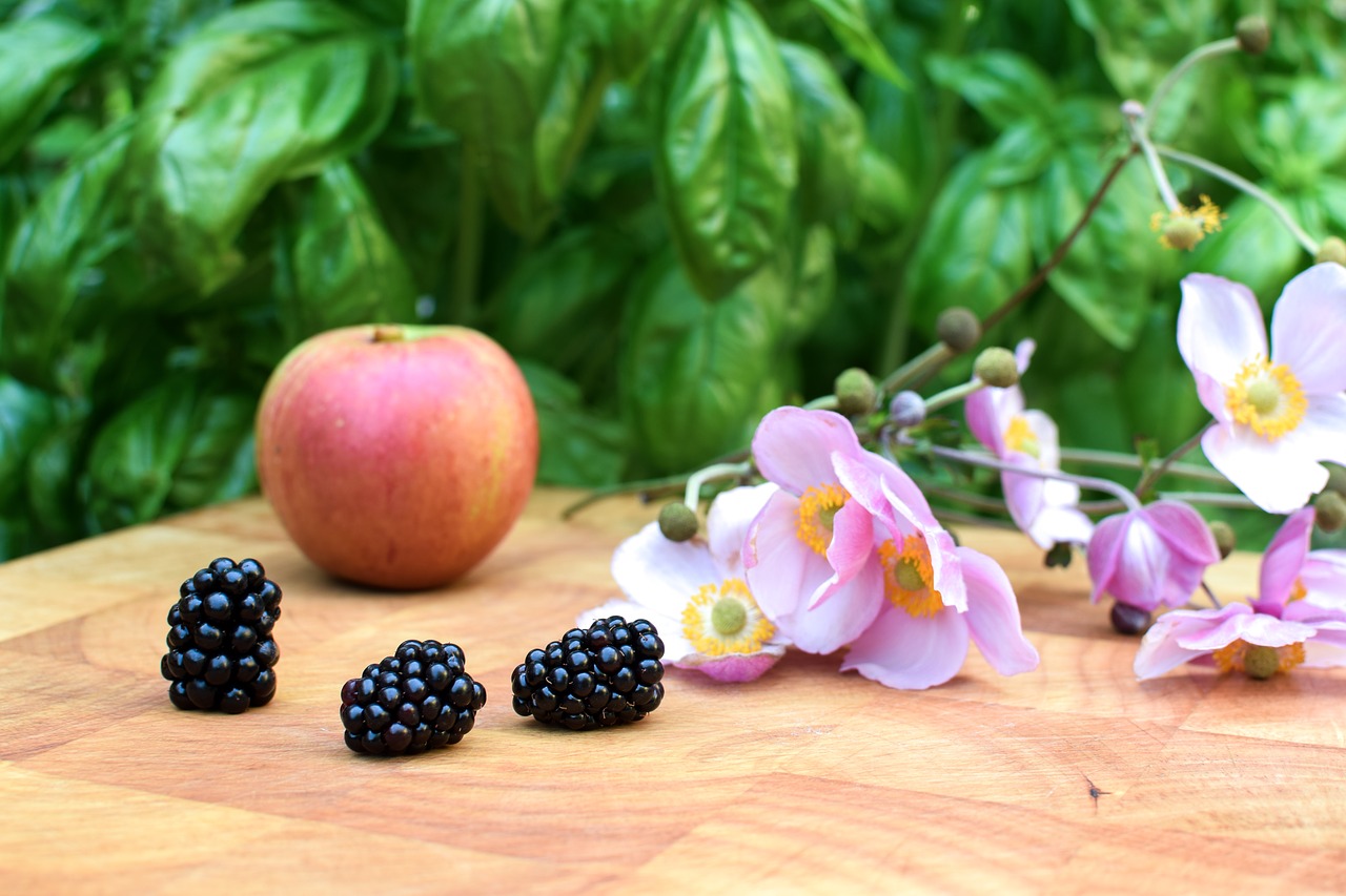 Image - blackberry autumn black berries