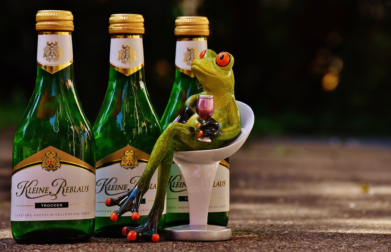 Image - frog wine drink restaurant