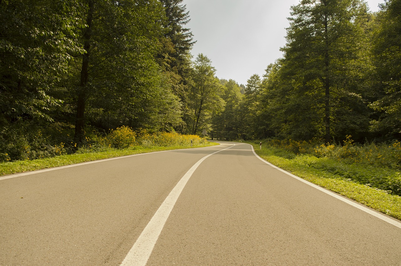 Image - road street traffic nature croatia