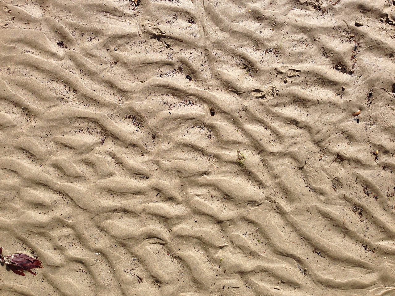 Image - sand tide beach sea ocean coast