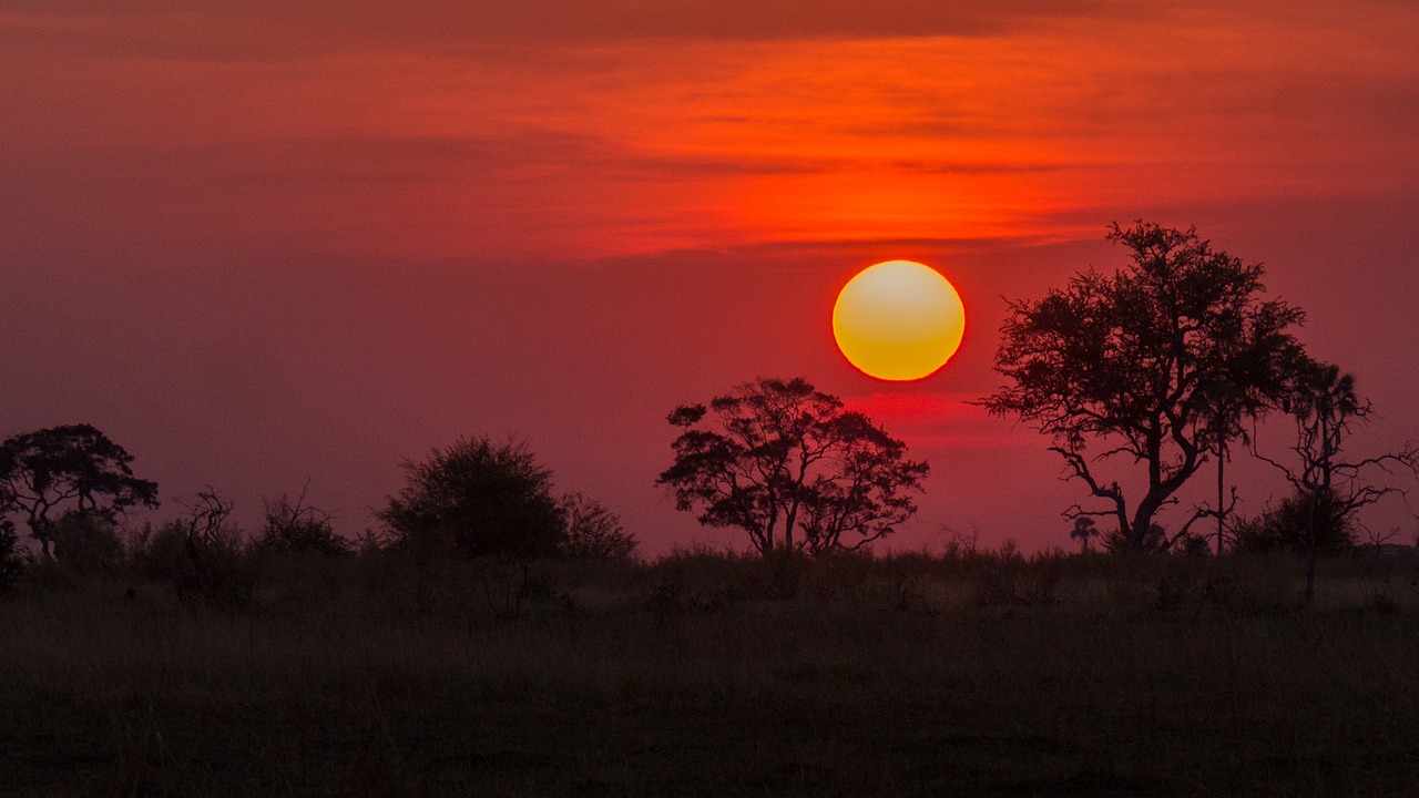 Image - botswana okavango delta sunset