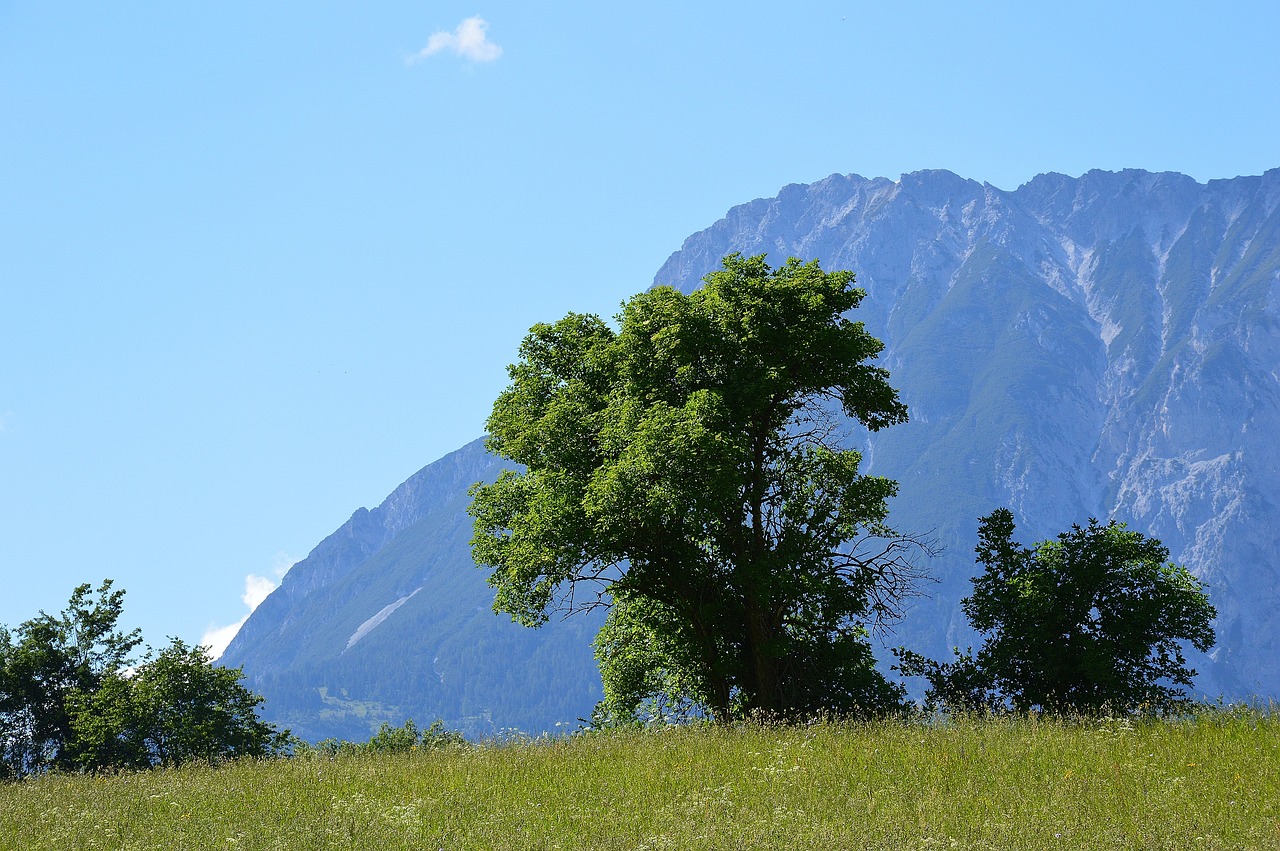 Image - sautens mountains alpine view alm