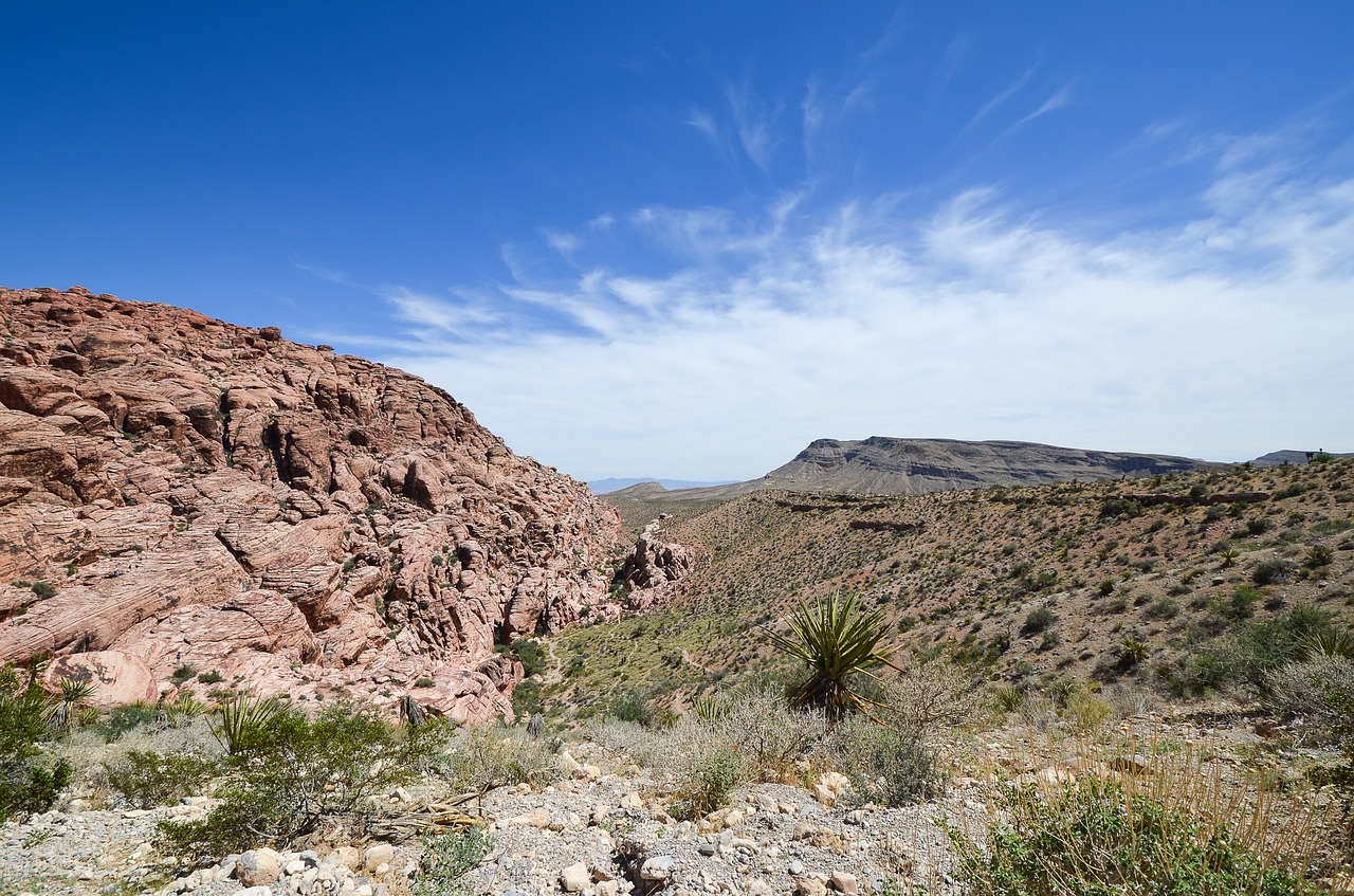 Image - usa america nevada red rock canyon