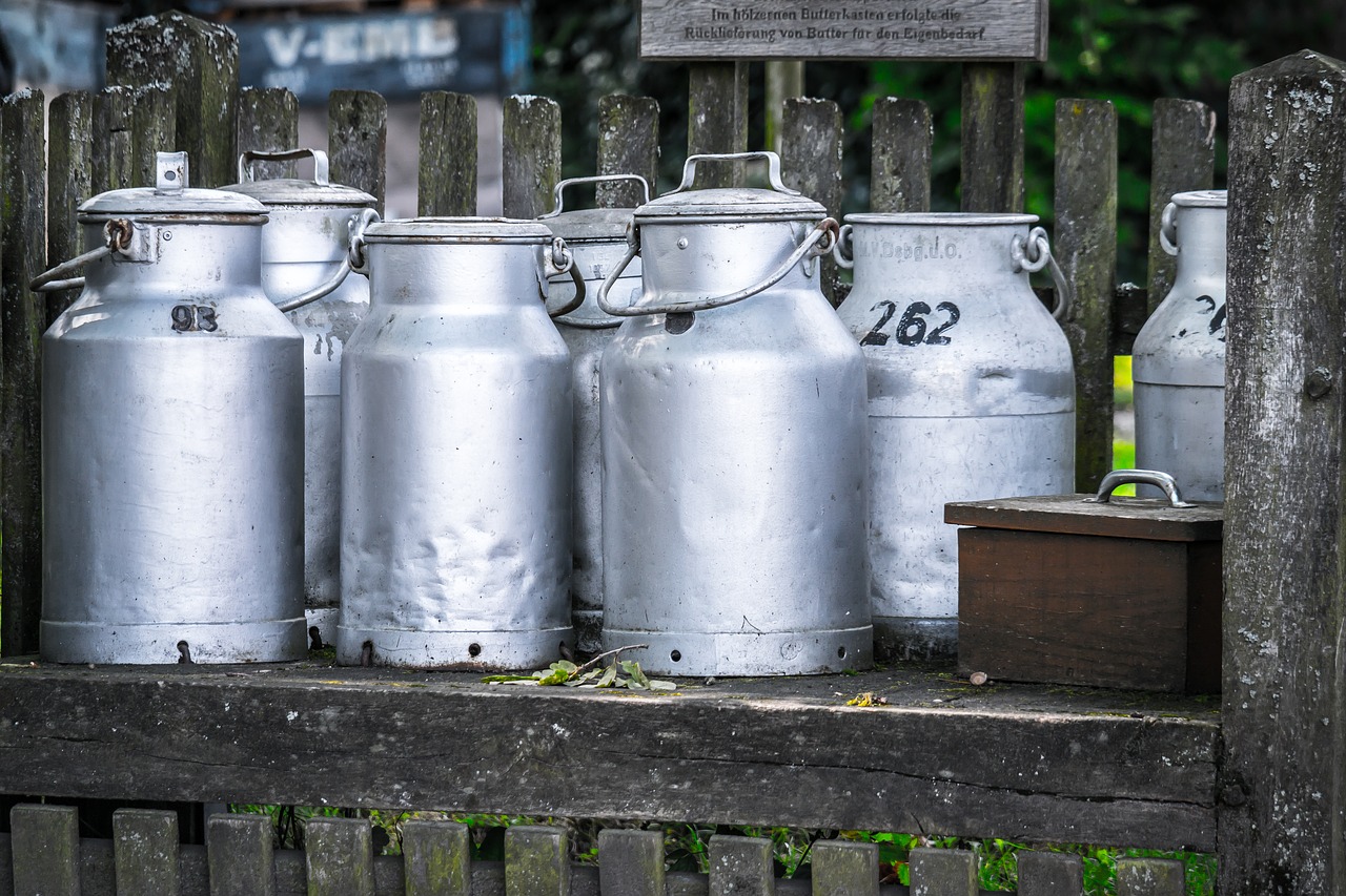 Image - milk cans jugs milk agriculture