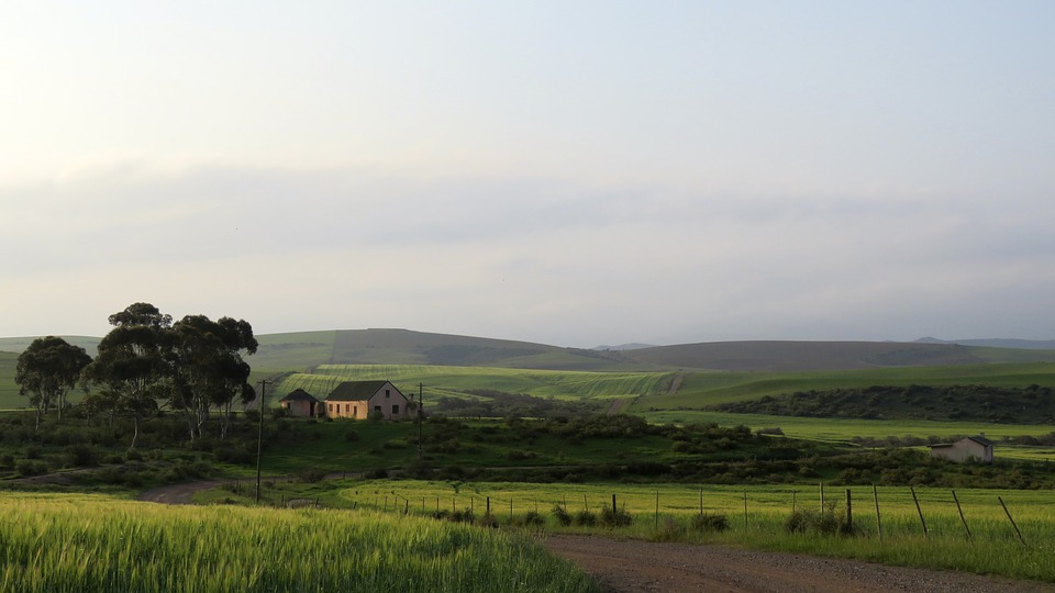 Image - farm wheat country rural nature