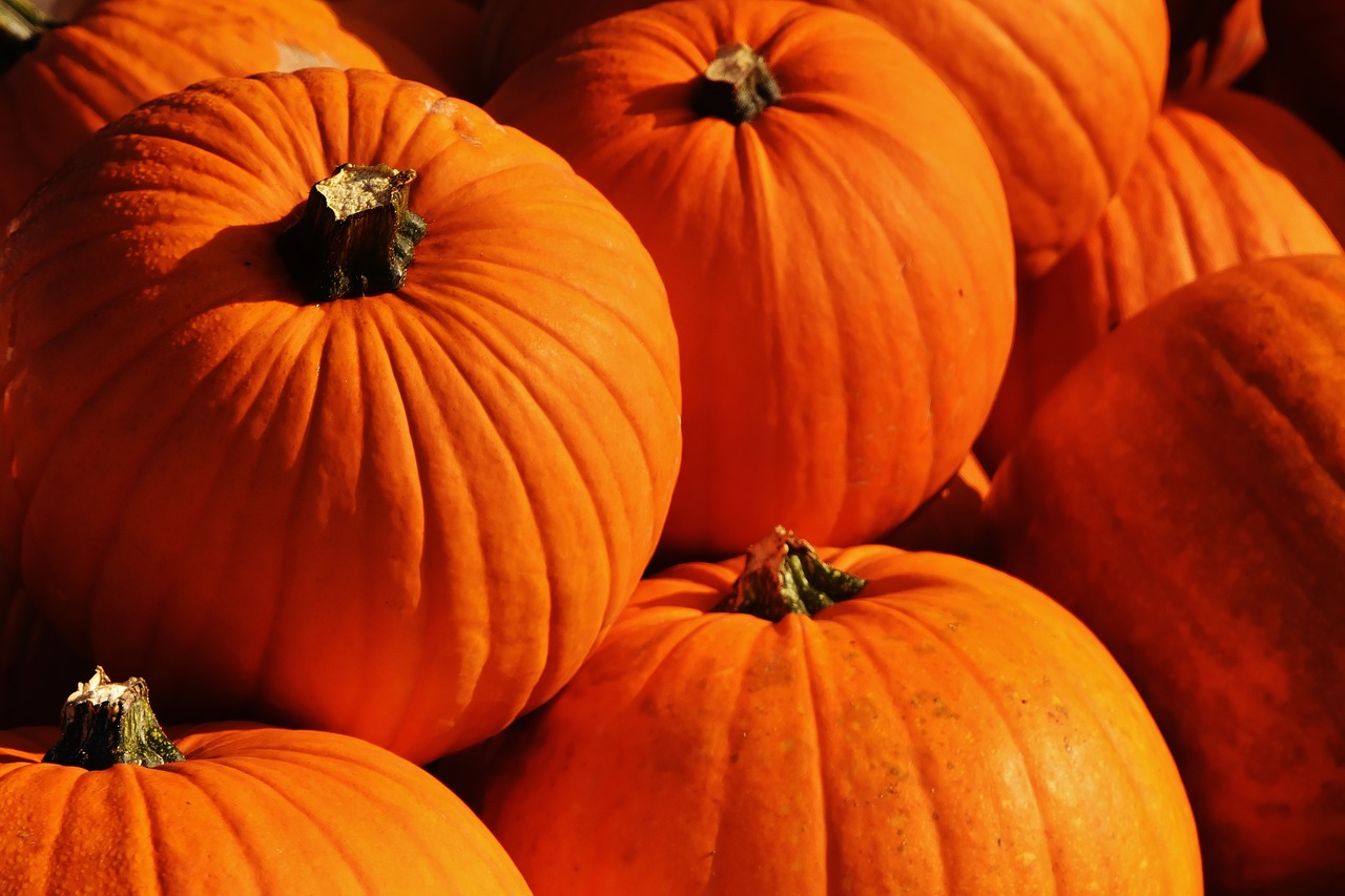 Image - pumpkins autumn autumn decoration