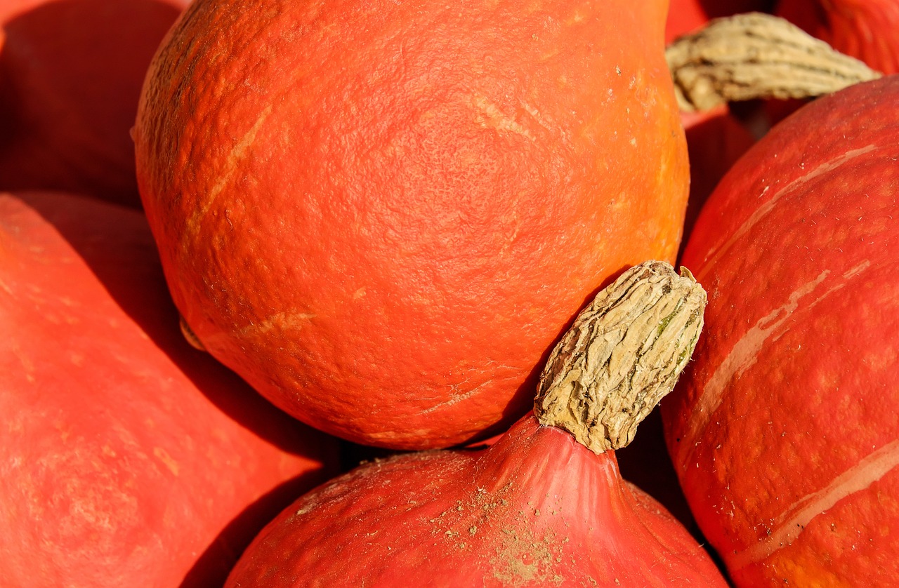 Image - pumpkin hokkaidokürbis fruit orange