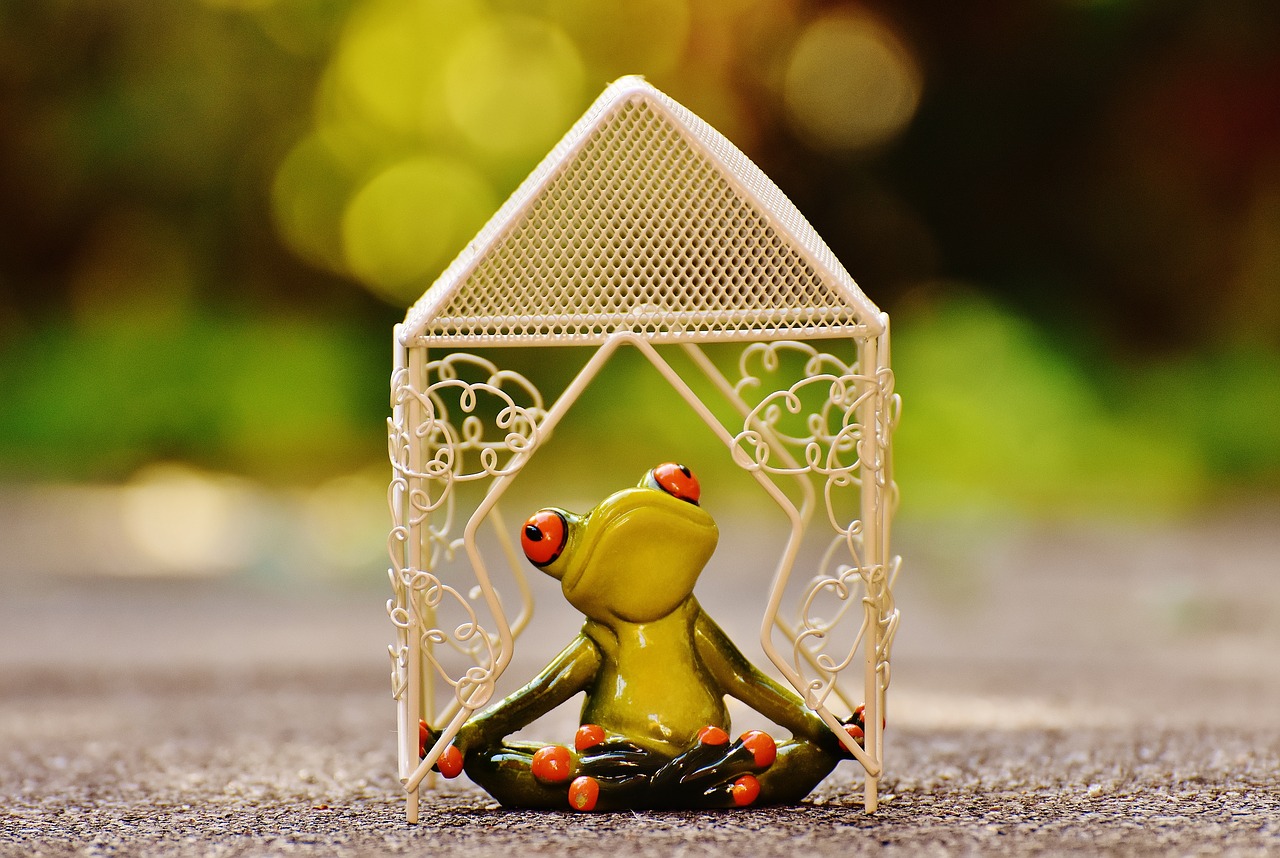 Image - pavilion frog yoga garden summer