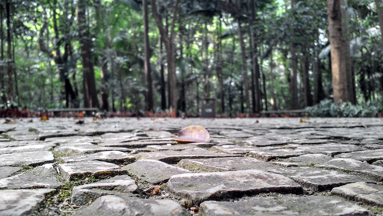 Image - park sidewalk stones trees floor