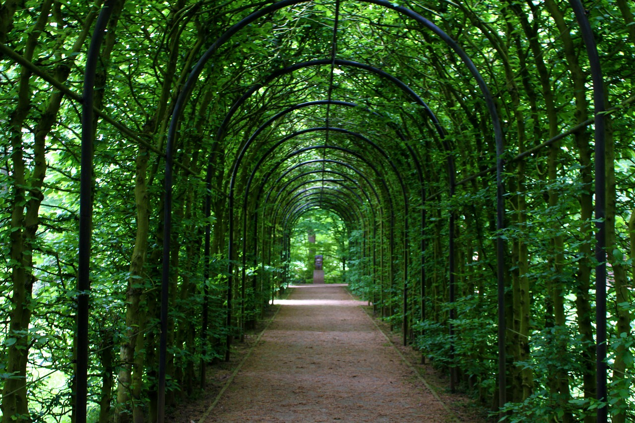 Image - tunnel tunnel of plants promenade