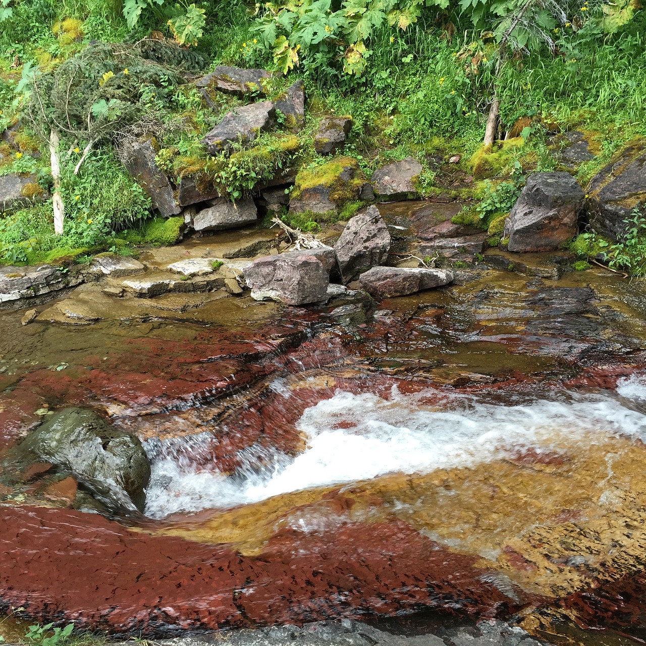 Image - glacier park stream national