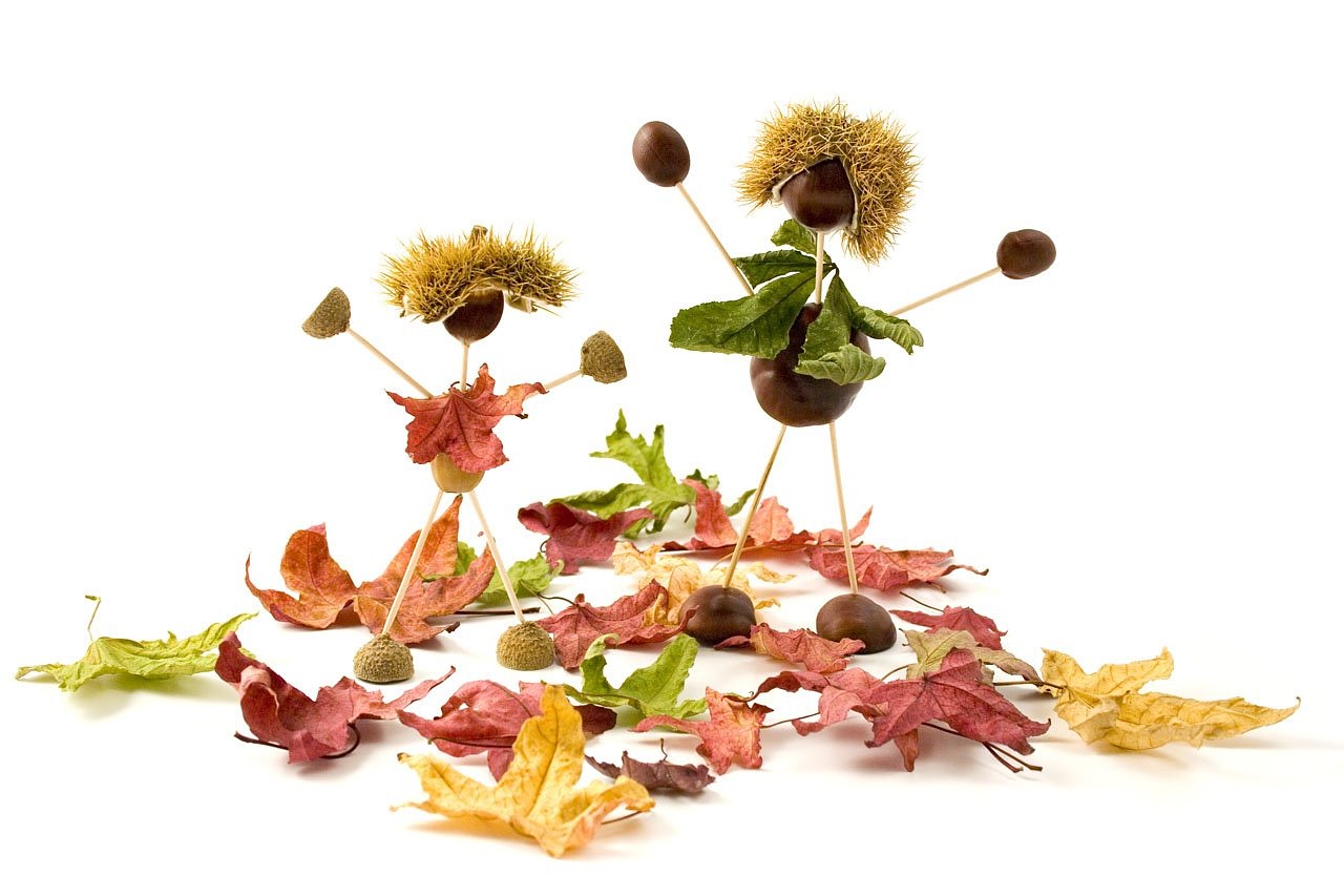 Image - conker conkers acorn acorns autumn