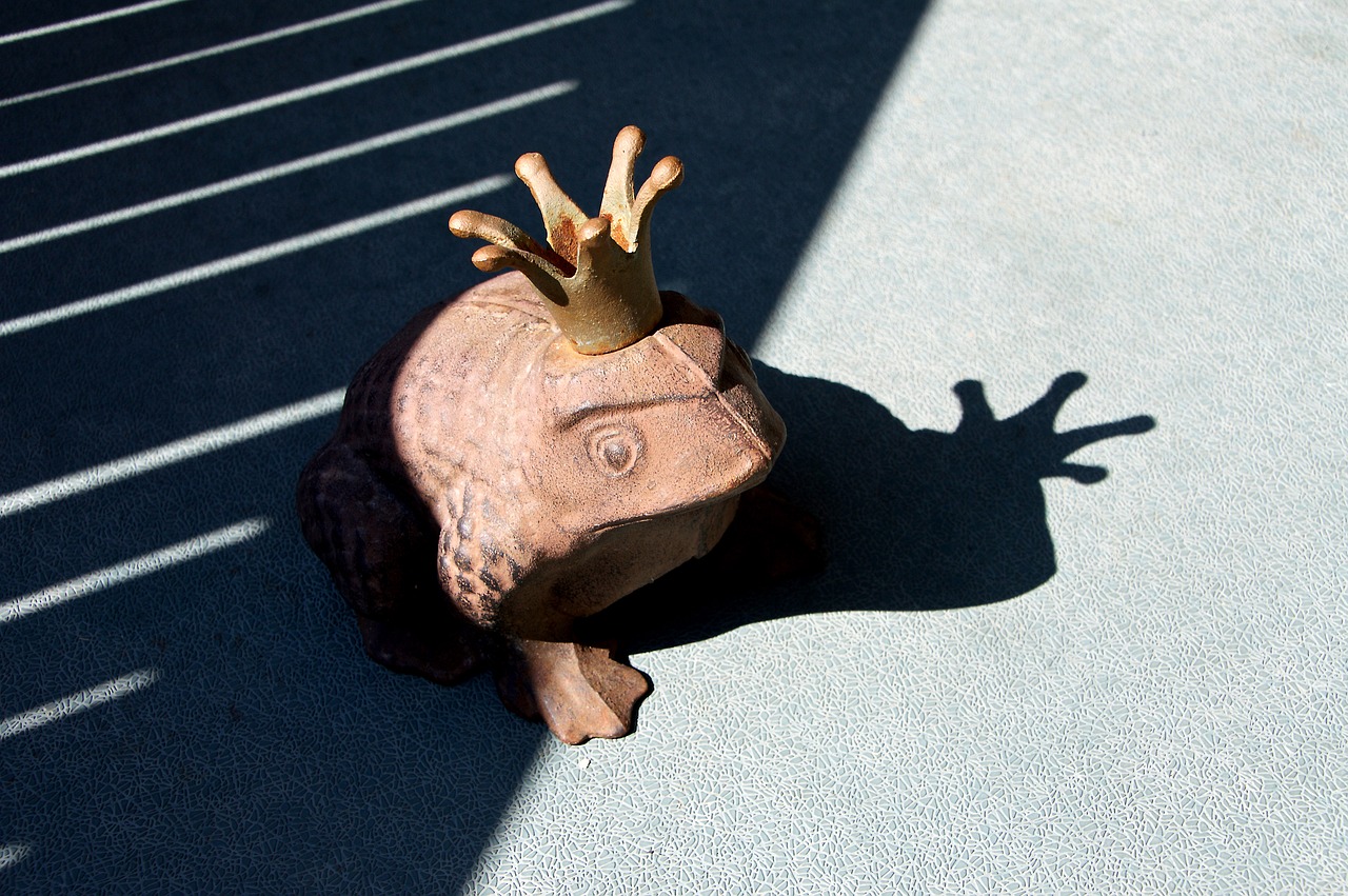 Image - frog shadow crown thoughtful light