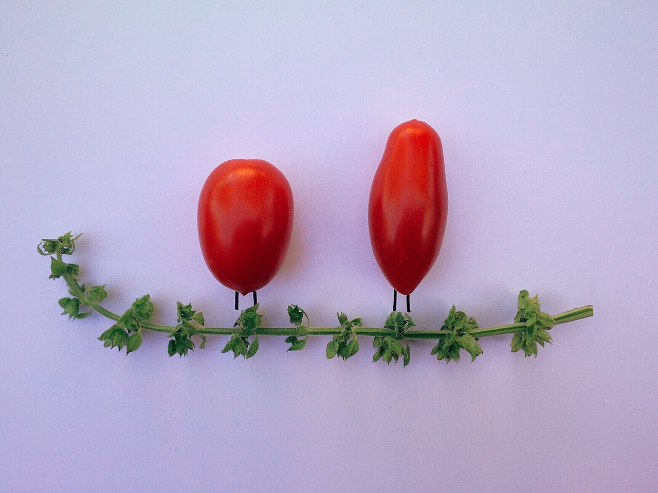 Image - tomato basil vegetable herb