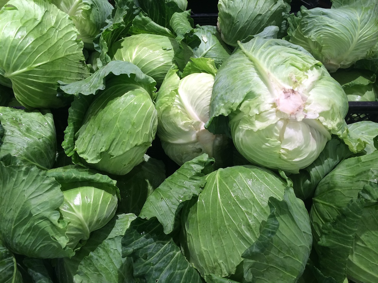 Image - cabbage green pile up vegetables