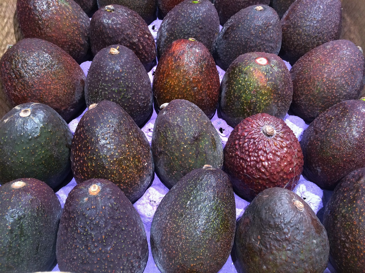 Image - avocado avogado pile up fruit