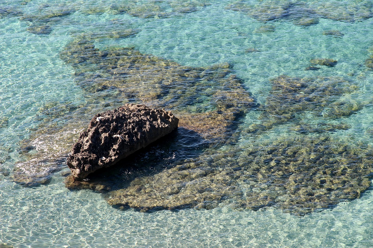 Image - water sea wave blue clear rock