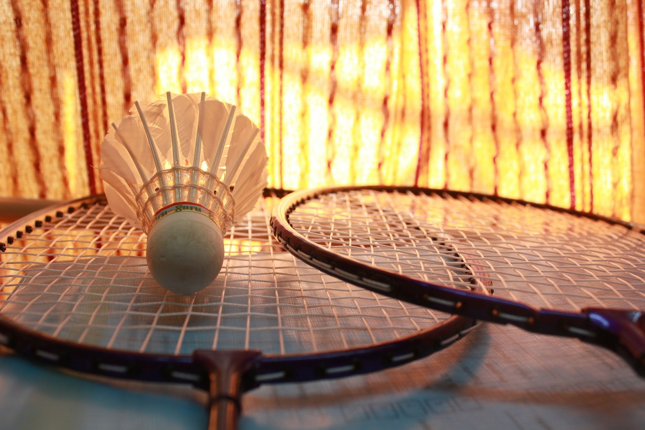 Image - badminton shuttlecock games sports