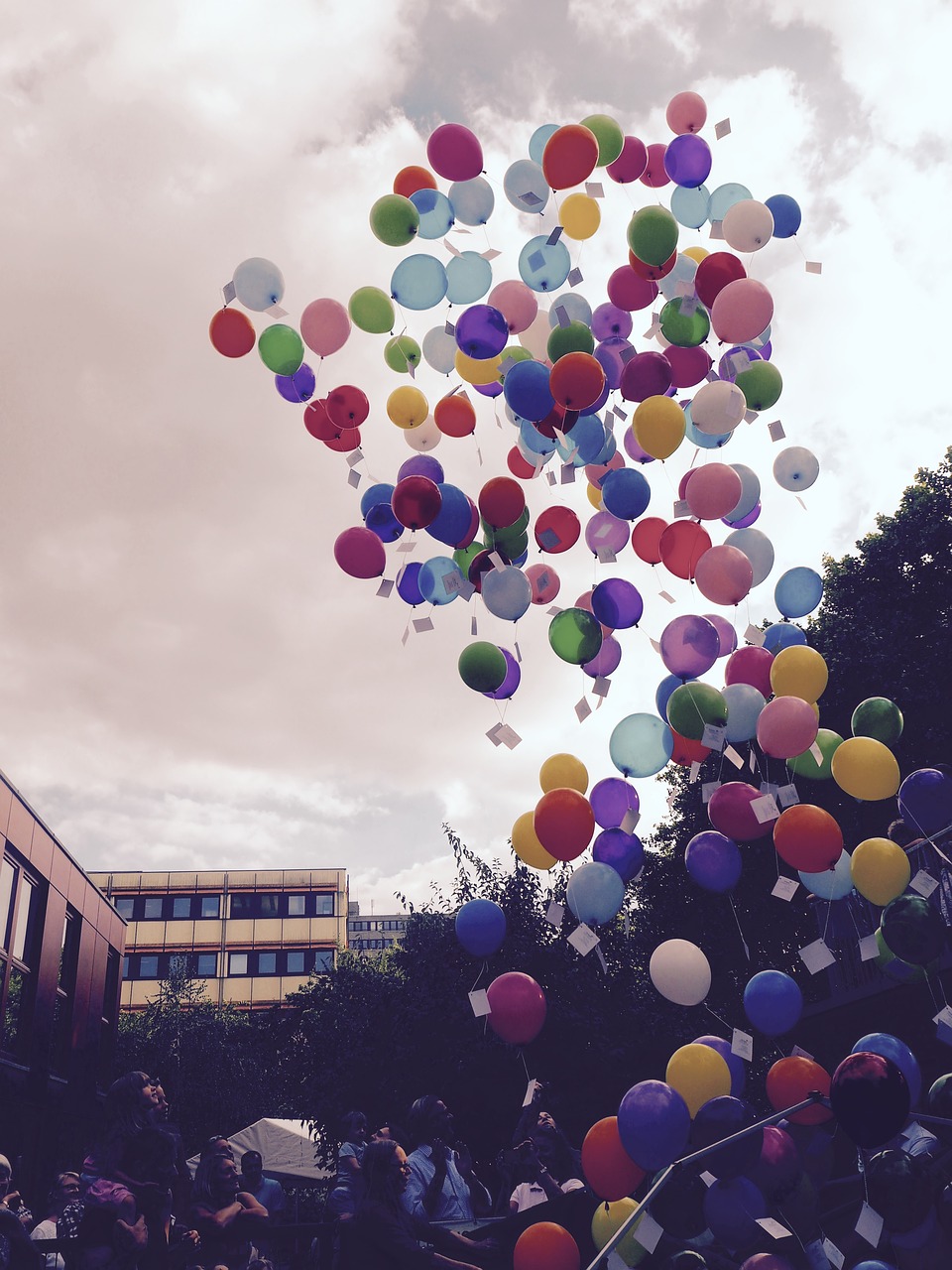 Image - balloon fly flap away grape